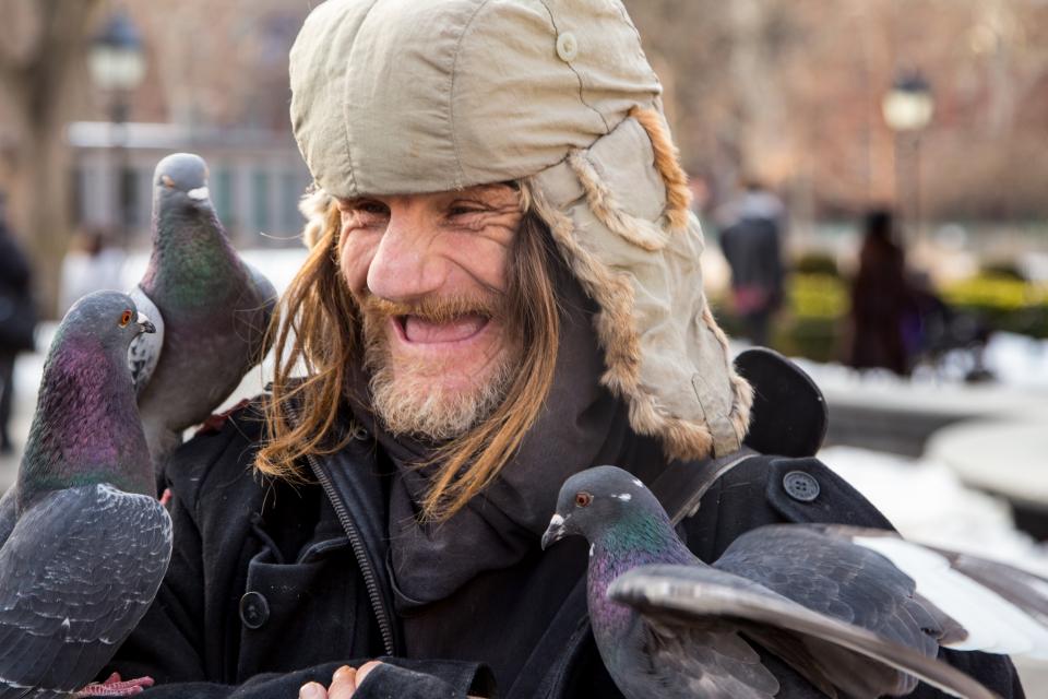 pigeon man new york